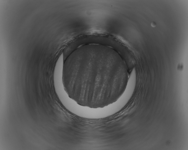 X0000091981202200710041103