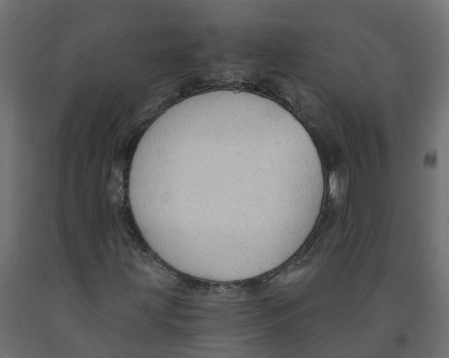 X0000091981203200710041103
