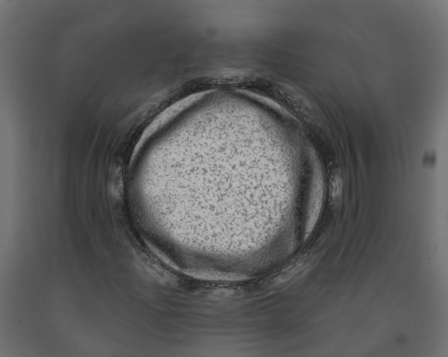 X0000091981204200710041103