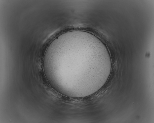 X0000091981205200710041103