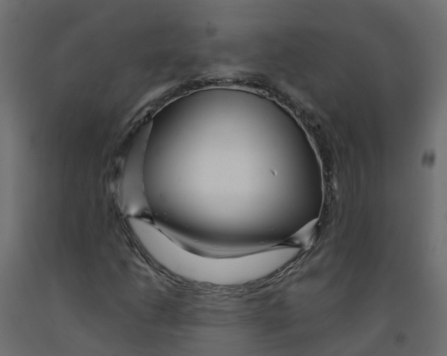 X0000091981206200710041103