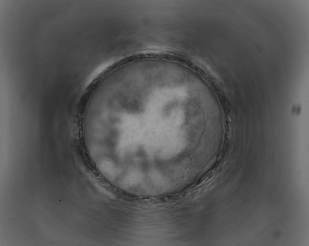 X0000091981208200710041103