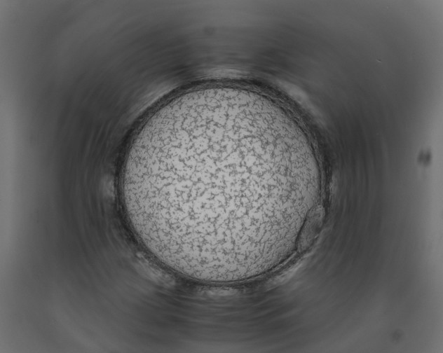 X0000091981209200710041103
