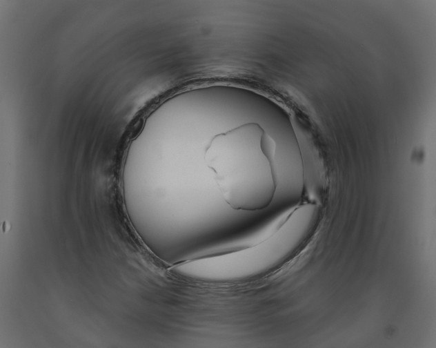 X0000091981210200710041103