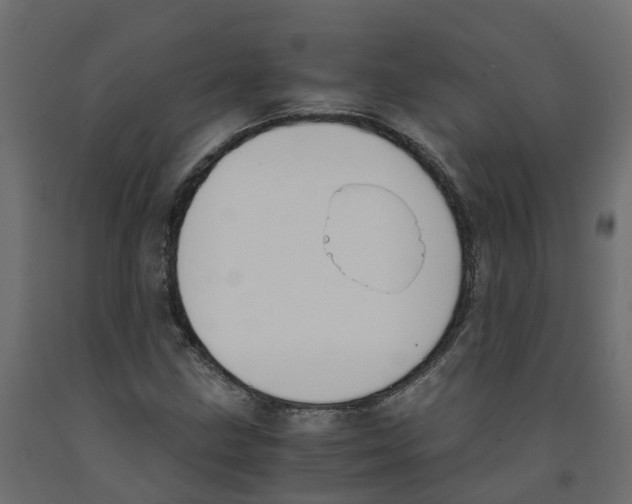 X0000091981211200710041103