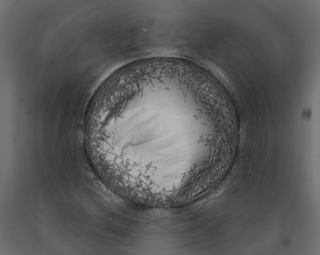 X0000091981212200710041103