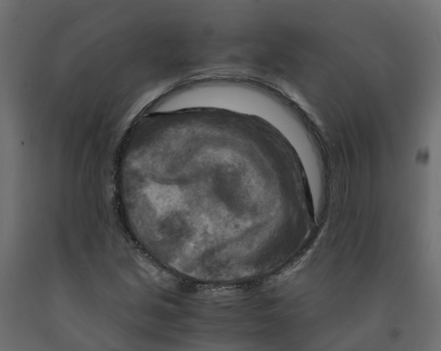X0000091981213200710041103