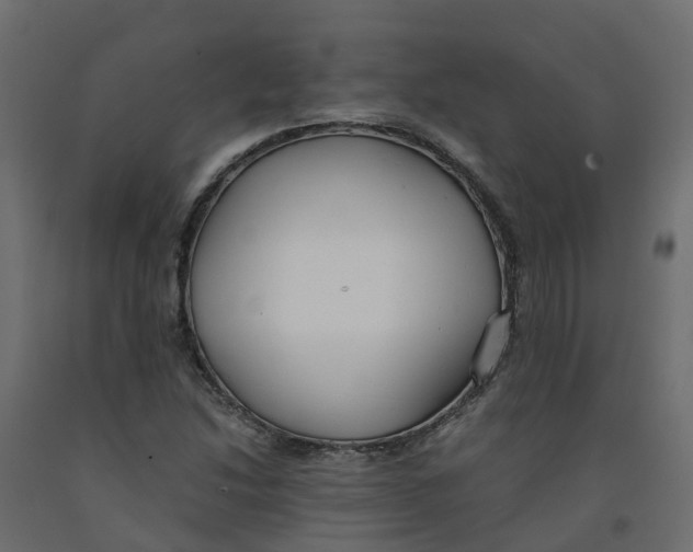X0000091981214200710041103