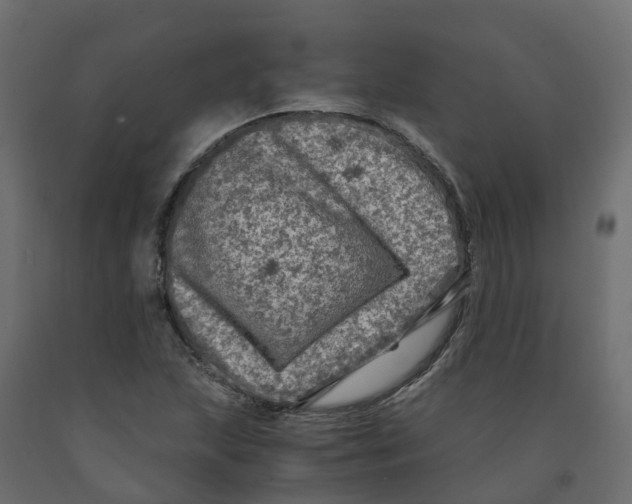 X0000091981215200710041103