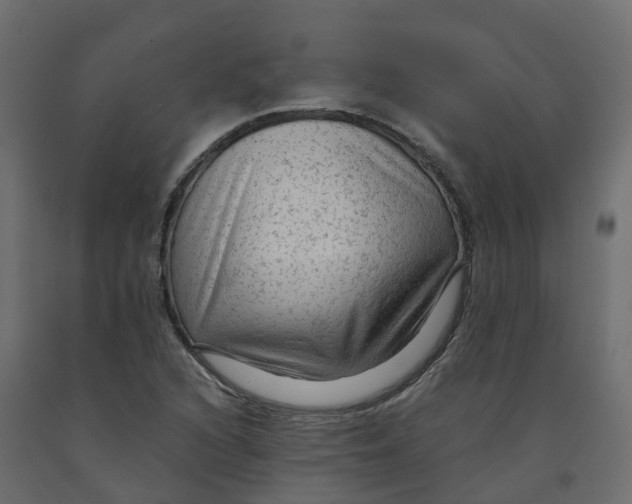 X0000091981216200710041103