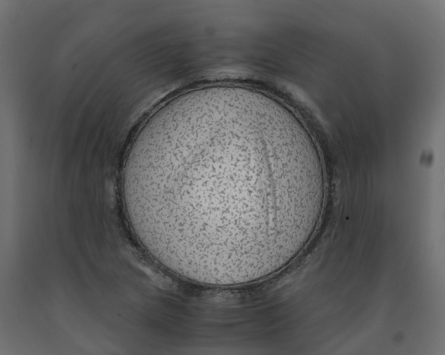 X0000091981217200710041103