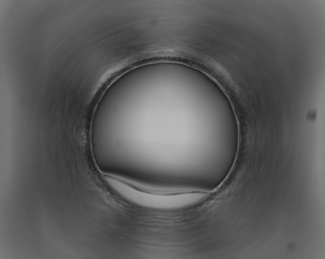 X0000091981218200710041103