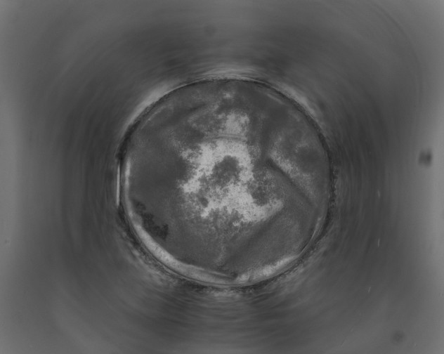 X0000091981219200710041103