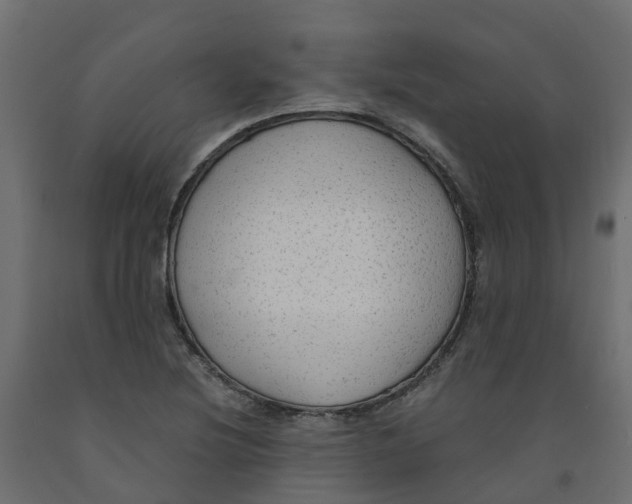 X0000091981220200710041103