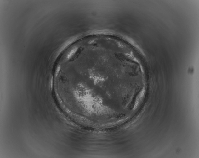 X0000091981221200710041103