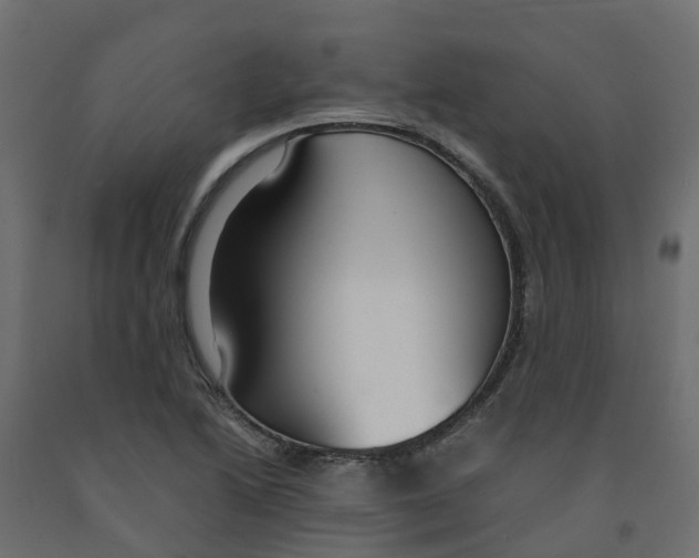 X0000091981222200710041103