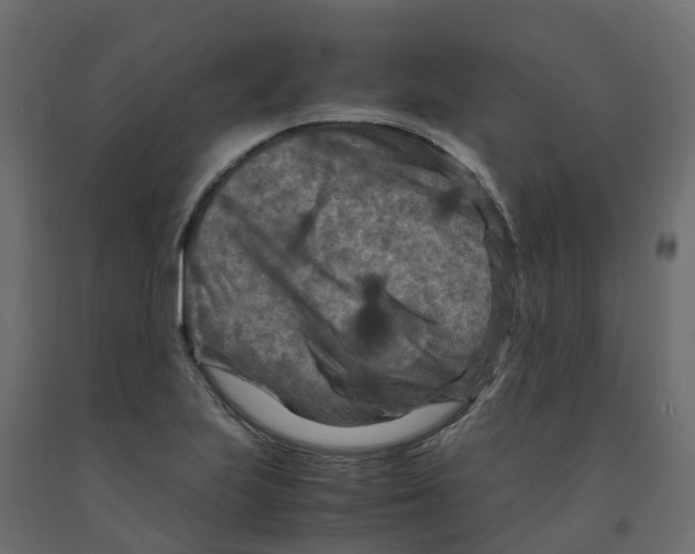 X0000091981223200710041103