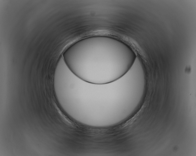 X0000091981225200710041103
