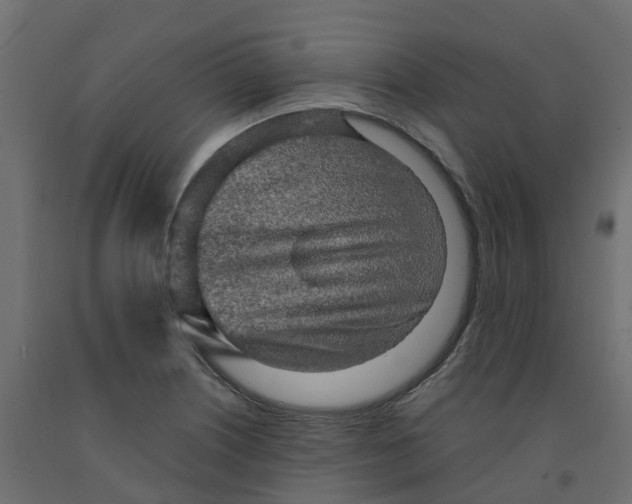 X0000091981226200710041103