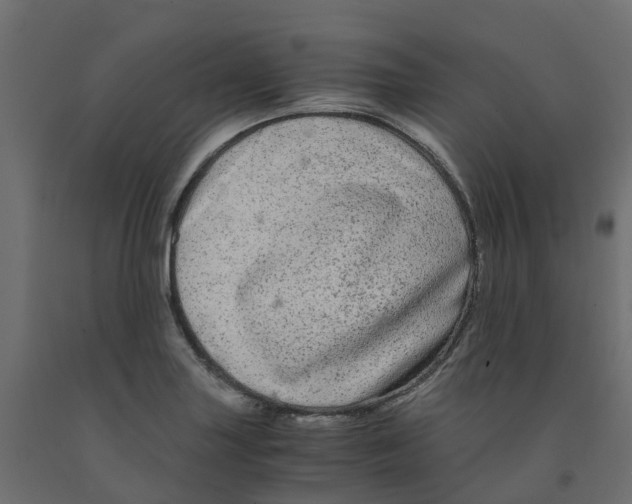 X0000091981227200710041103