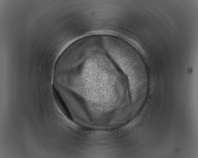 X0000091981228200710041103