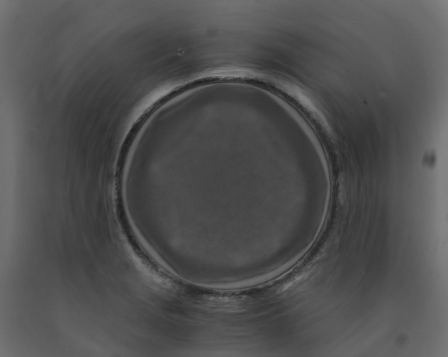 X0000091981229200710041103
