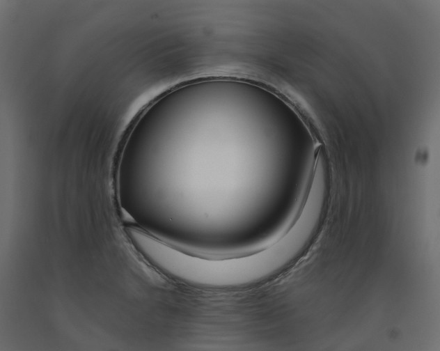 X0000091981230200710041103