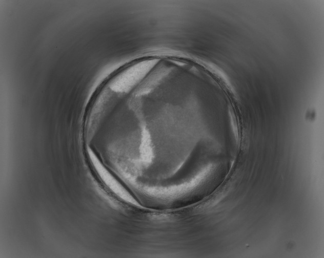 X0000091981231200710041103
