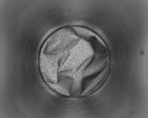 X0000091981232200710041103