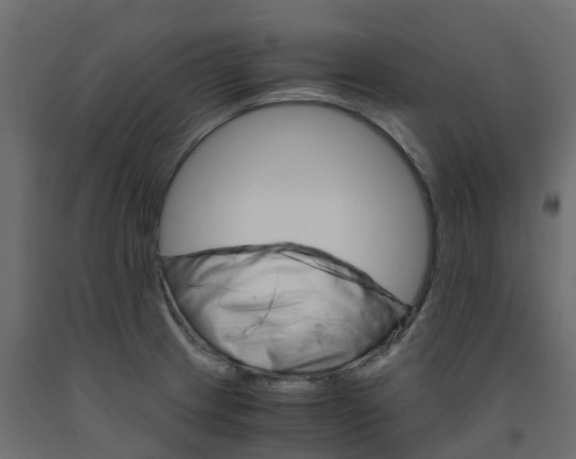 X0000091981233200710041103