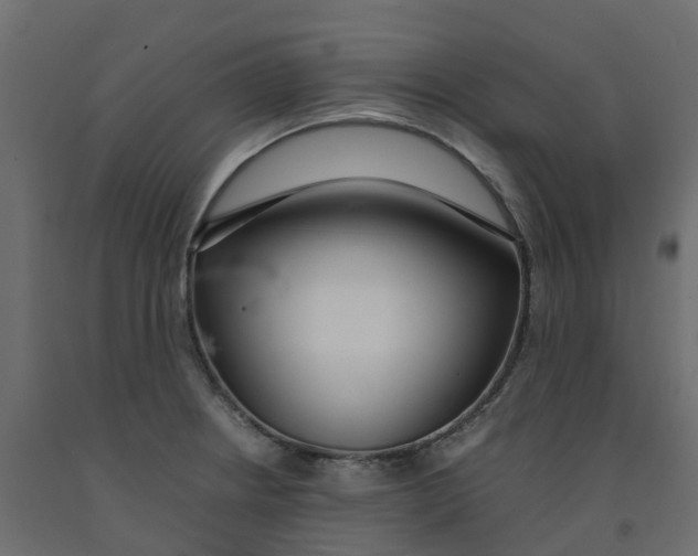 X0000091981234200710041103