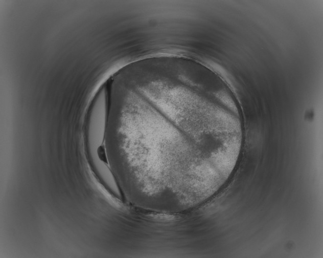 X0000091981235200710041103