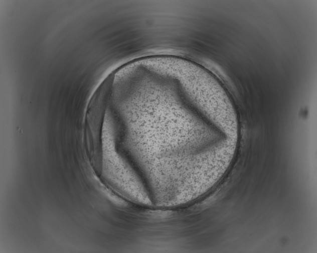 X0000091981236200710041103