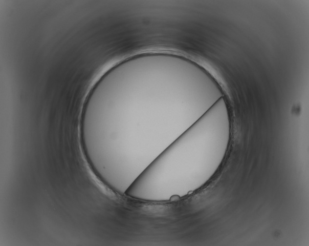 X0000091981237200710041103