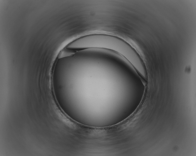 X0000091981238200710041103