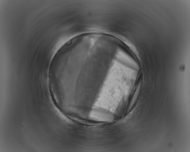 X0000091981239200710041103