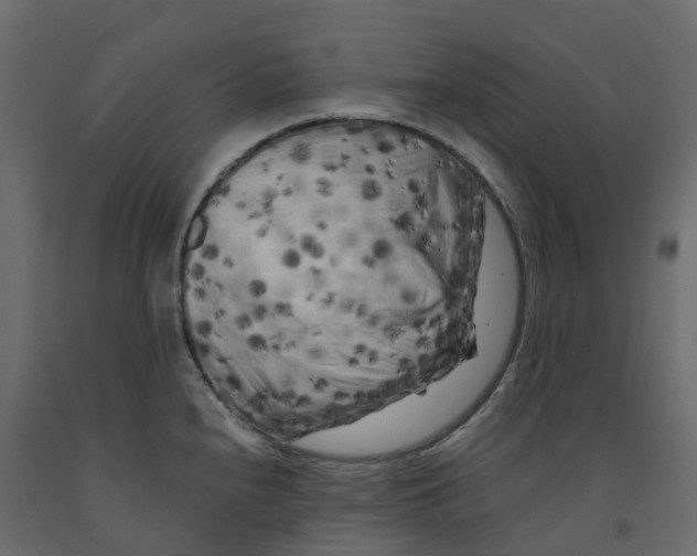 X0000091981240200710041103