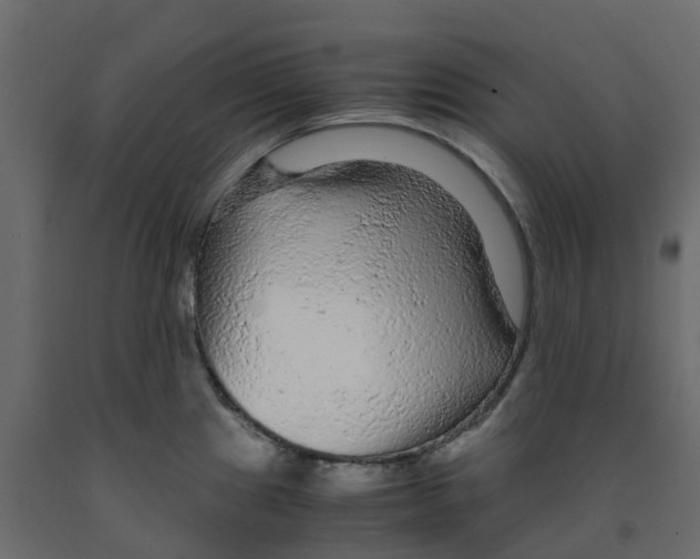 X0000091981241200710041103