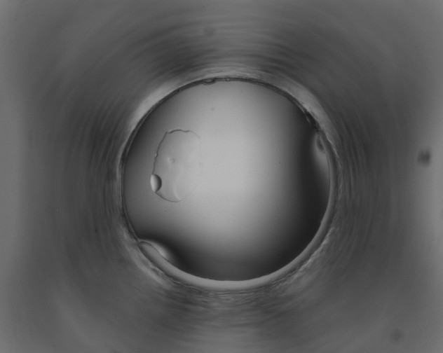 X0000091981242200710041103