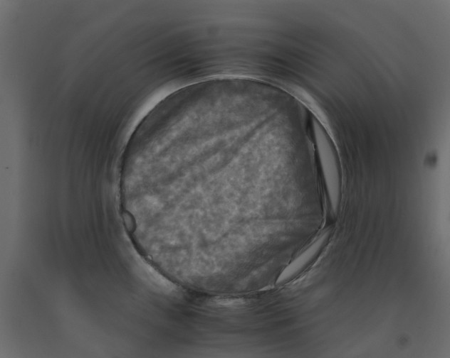 X0000091981243200710041103