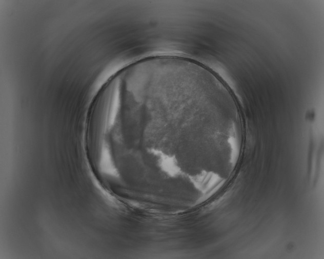 X0000091981245200710041103