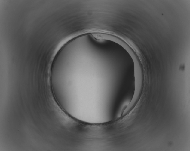 X0000091981246200710041103