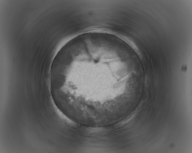 X0000091981247200710041103