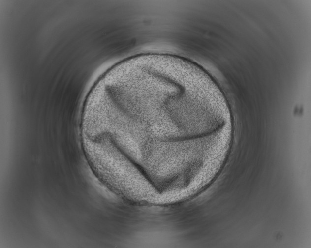 X0000091981248200710041103