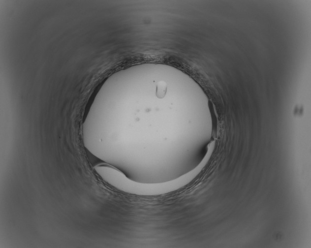 X0000091981249200710041103