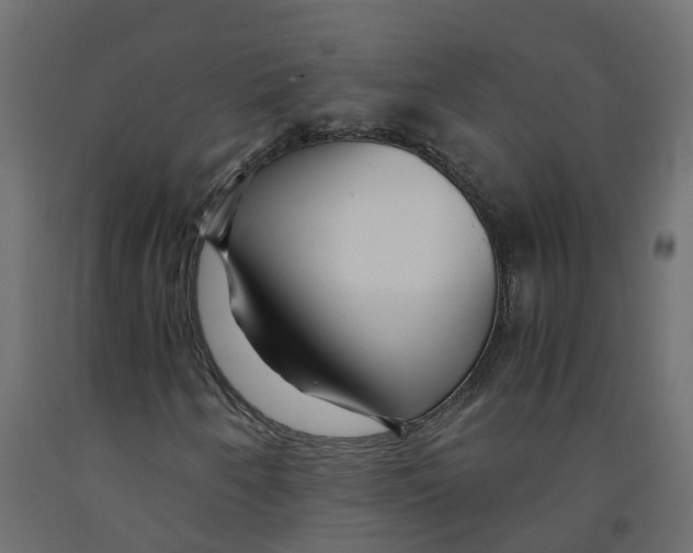 X0000091981250200710041103