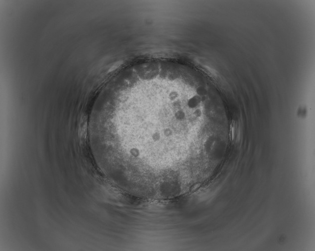 X0000091981251200710041102