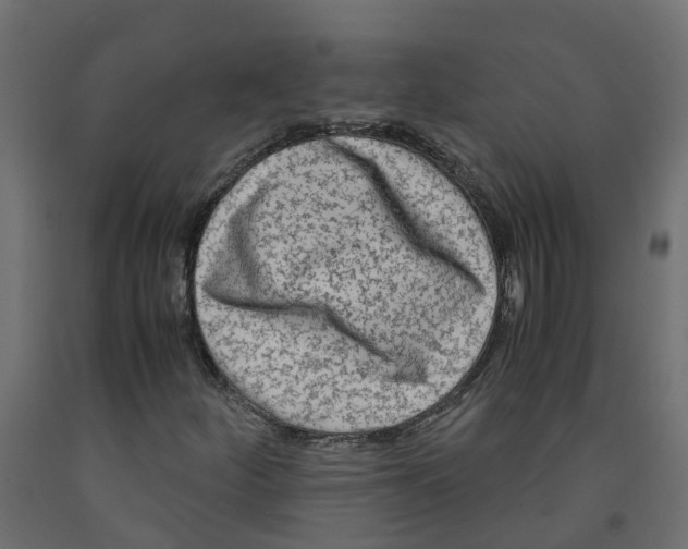 X0000091981252200710041102