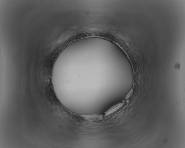 X0000091981253200710041102