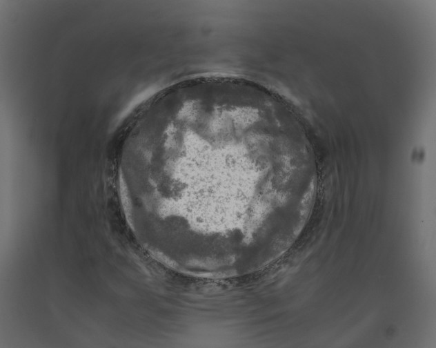 X0000091981255200710041102
